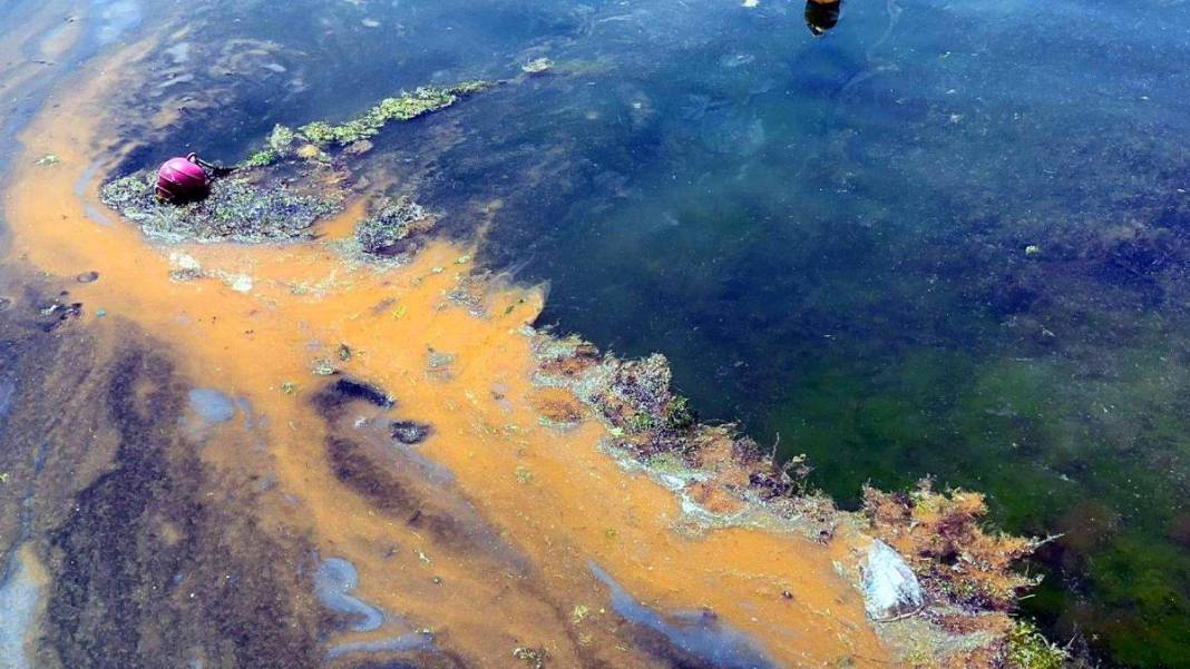 Tekirdağ'da çevre felaketi! 12 bin litre mazot Marmara'ya sızdı 5